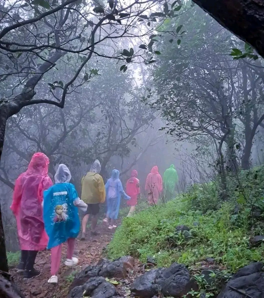 Monsoon forest trail in Bhandardara