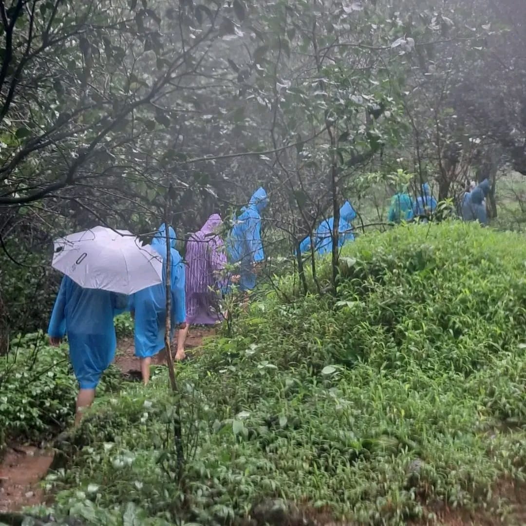 Rain walk through green Bhandardara forest